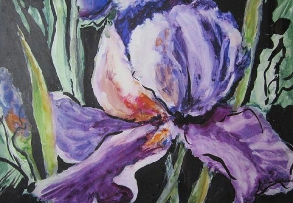 Iris by Sue Nelson Iris by Sue Nelson